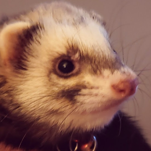 Pet Supply Store «Petco Animal Supplies», reviews and photos, 5239 Harvey St, Norton Shores, MI 49444, USA