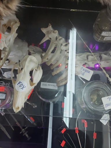 Boutique «Spoox : A Spooky Bootique», reviews and photos, 3453 State St, Salt Lake City, UT 84115, USA