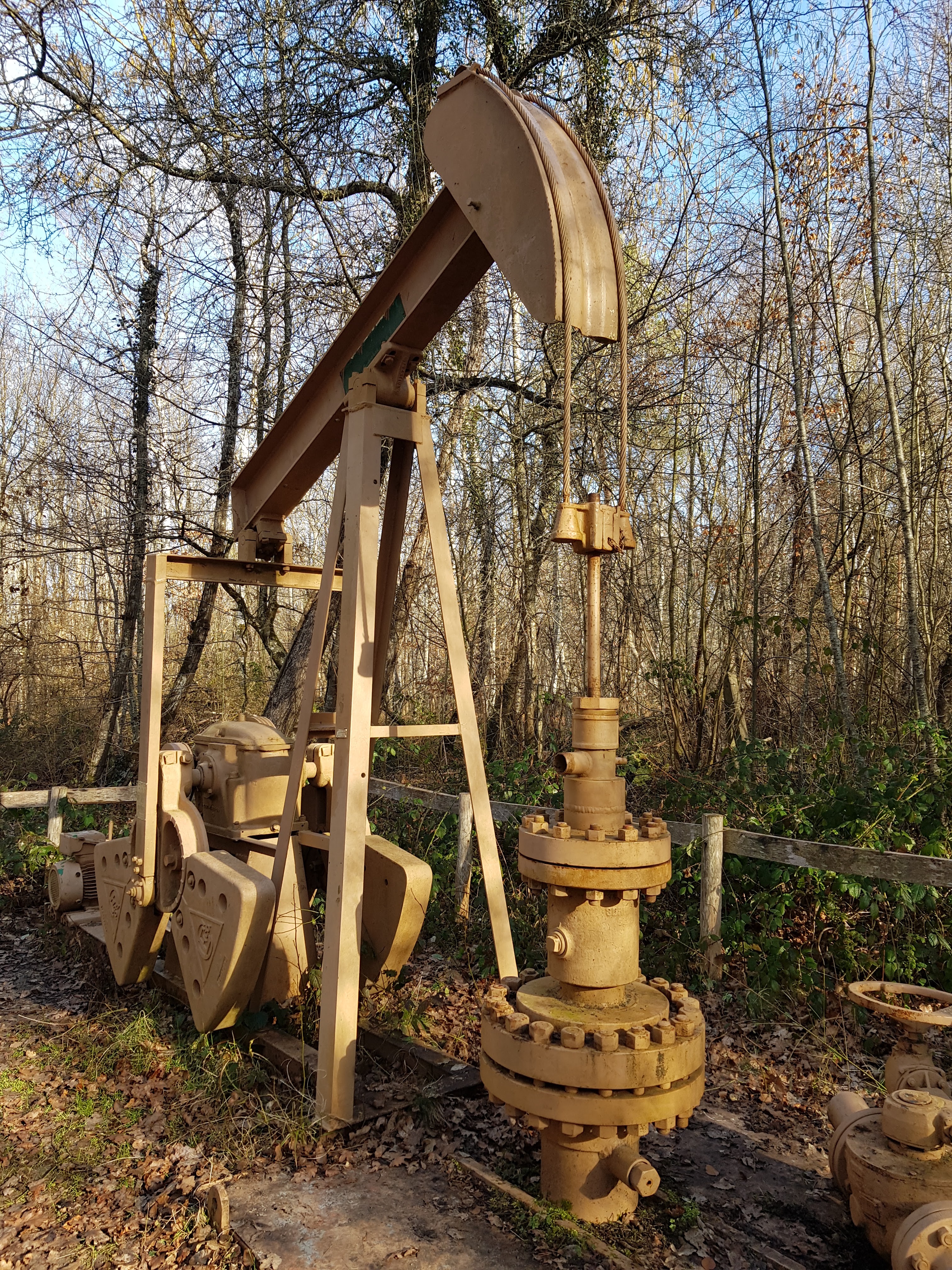 Photo n° 2 de l'avis de Bernard.a fait le 13/02/2022 à 08:51