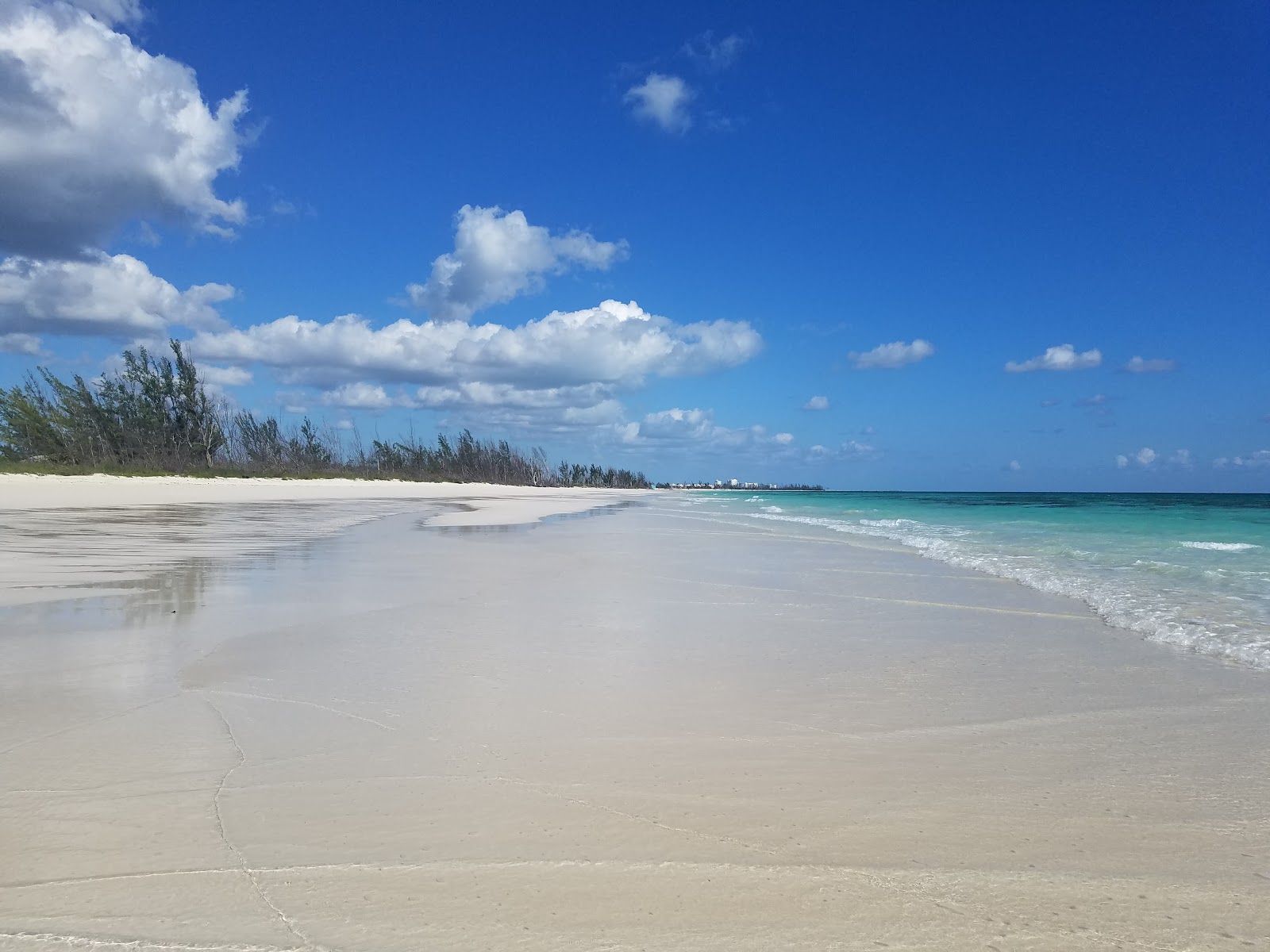 Fotografija East Palm beach z svetel fin pesek površino