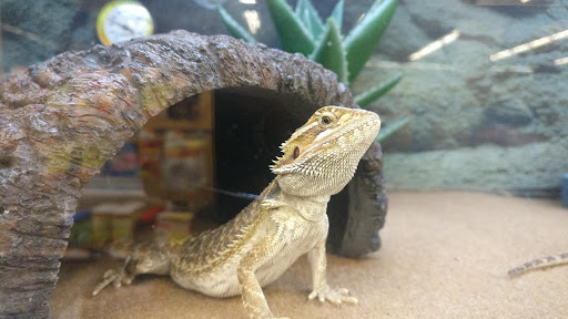 Pet Supply Store «Petco Animal Supplies», reviews and photos, 1 US-46, Totowa, NJ 07512, USA