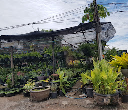 ลานไม้มิตรภาพ (Friendship Square) photo