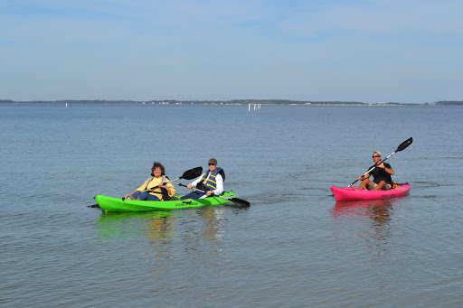 Nature Preserve «James Farm Ecological Preserve», reviews and photos, 30048 Cedar Neck Rd, Ocean View, DE 19970, USA