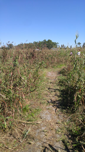 Ranch «Smith Family Ranch, LLC», reviews and photos, 13444 Moore Road, Lakeland, FL 33809, USA