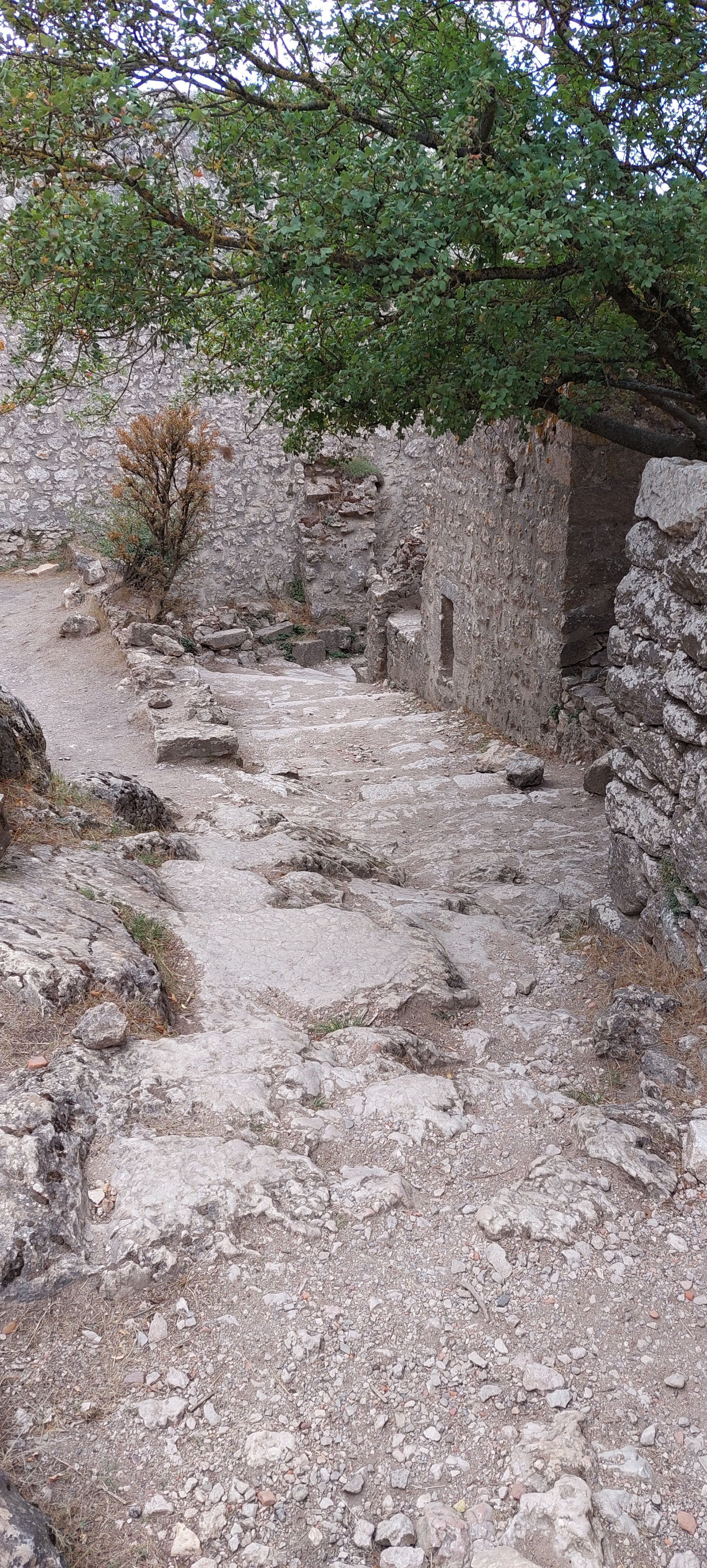 Photo n° 7 de l'avis de Michael.i fait le 15/09/2022 à 20:19