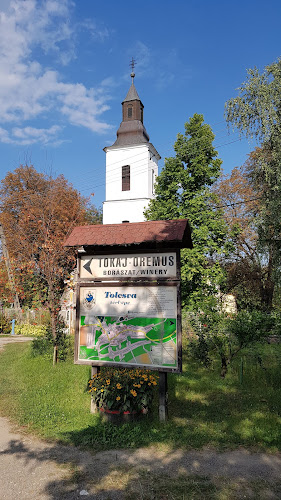 Opinii despre Tolcsvai Istenszülő elhunyta görögkatolikus templom în Tolcsva - Templom