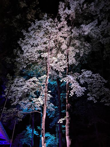 Live Music Venue «Blue Ox Music Festival», reviews and photos, 5024 Crescent Ave, Eau Claire, WI 54703, USA