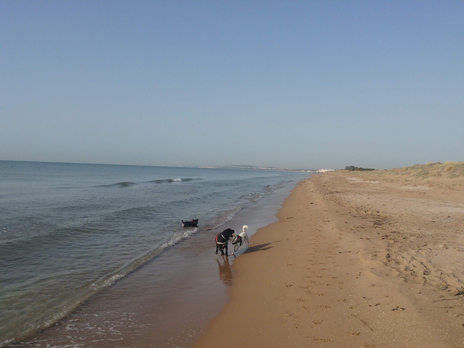 Fotografie cu Playa del Pinet cu nivelul de curățenie înalt