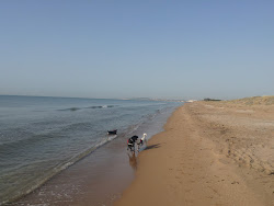 Playa del Pinet'in fotoğrafı çok temiz temizlik seviyesi ile