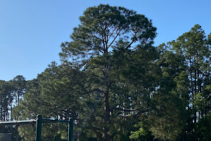 Isle of Palms Park JAX