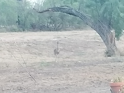 RV Park «Hidden Valley RV Park», reviews and photos, 5706 Coleman Way, Von Ormy, TX 78073, USA