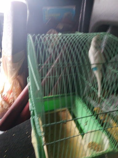 Pet Store «Inez Pet Shop», reviews and photos, 3825 Whittier Blvd, Los Angeles, CA 90023, USA