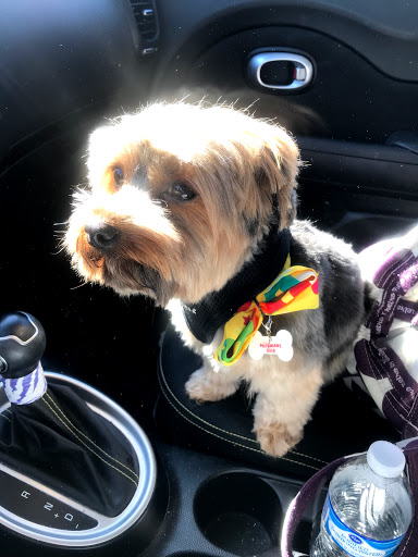 Pet Supply Store «PetSmart», reviews and photos, 1285 Johnson Ferry Rd, Marietta, GA 30068, USA