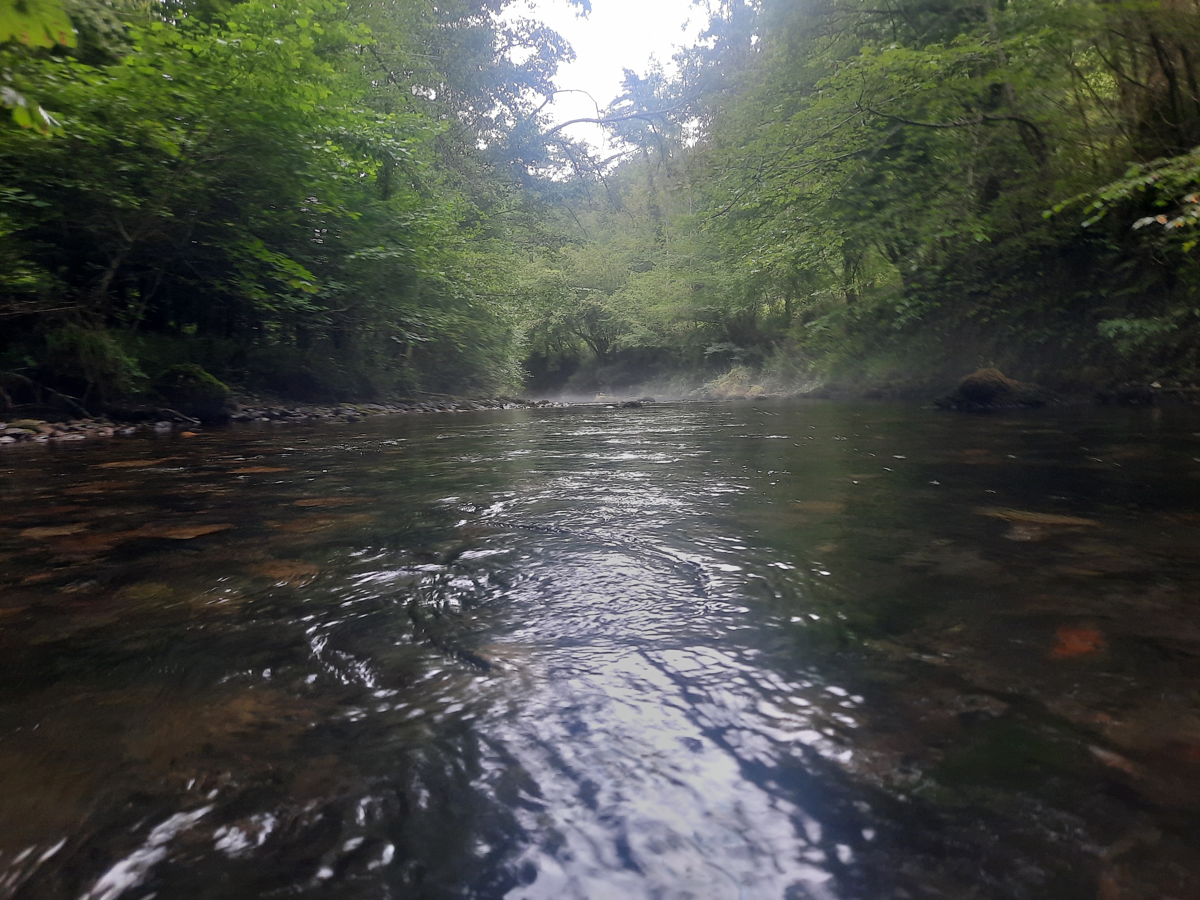 Photo n° 25 de l'avis de DIMA.A fait le 15/08/2021 à 16:23