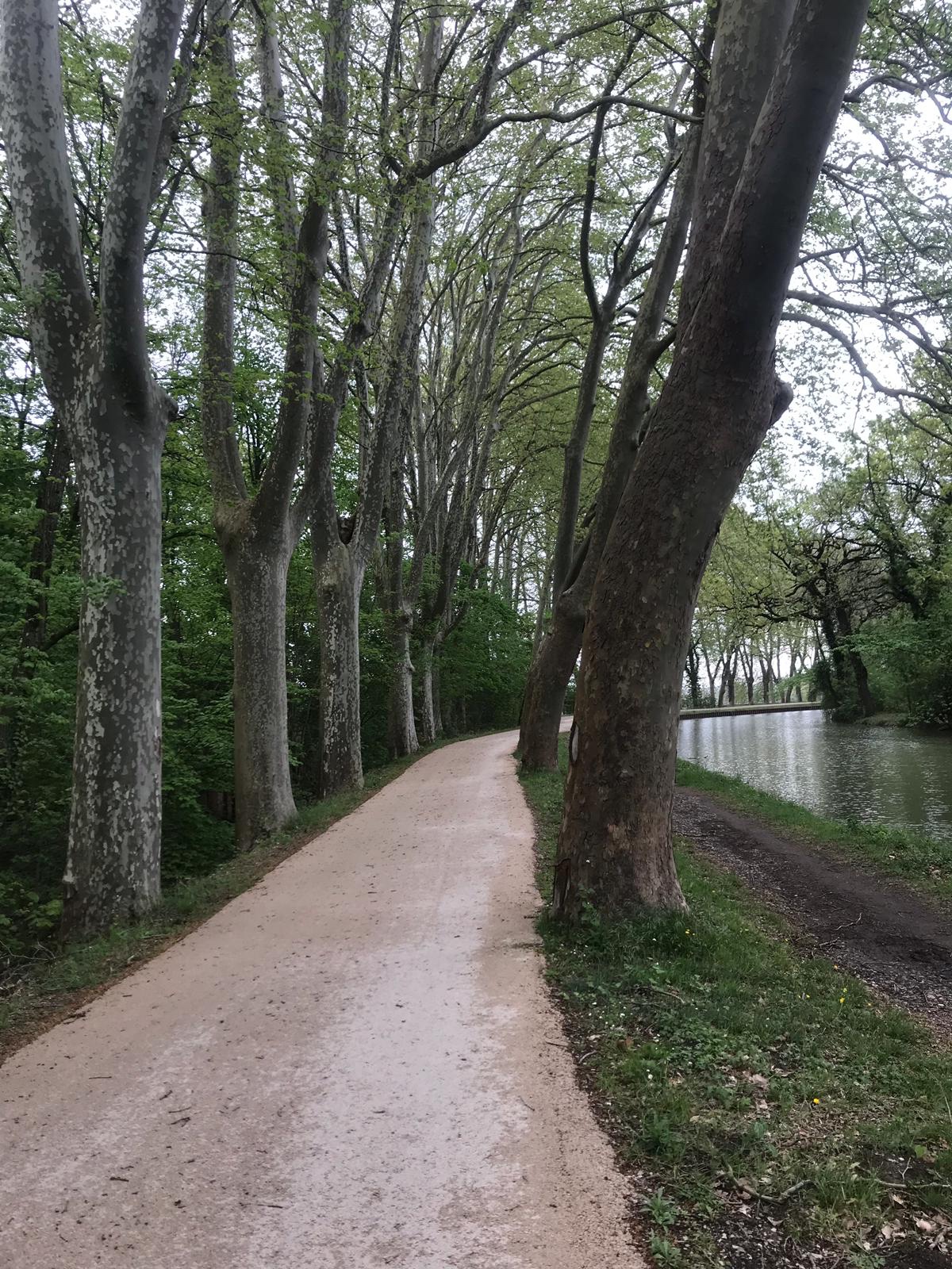 Photo n° 3 de l'avis de Nosinmistacones.! fait le 22/04/2019 à 08:36