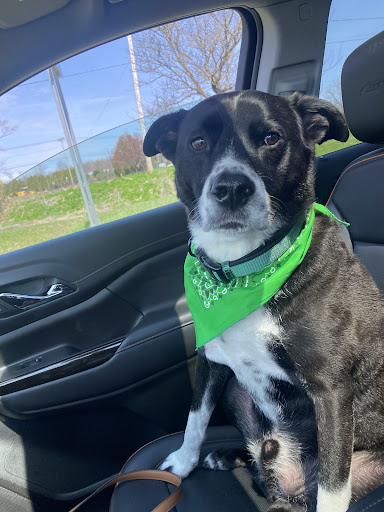 Pet Supply Store «Pet Supplies Plus», reviews and photos, 4488 Commercial Dr, New Hartford, NY 13413, USA