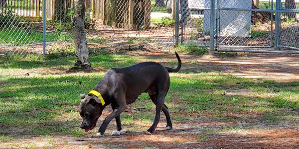 Gulf Shores Dog Park