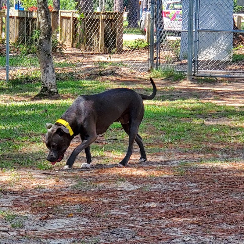 Gulf Shores Dog Park