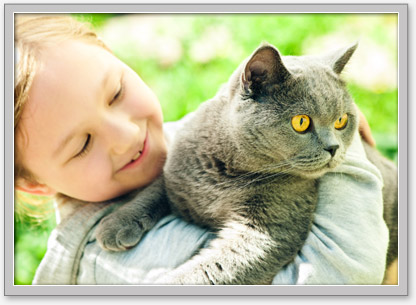 Good Neighbor Vet-Aloha