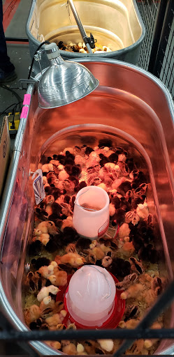 Home Improvement Store «Tractor Supply Co.», reviews and photos, 12110 Cumming Hwy, Canton, GA 30115, USA