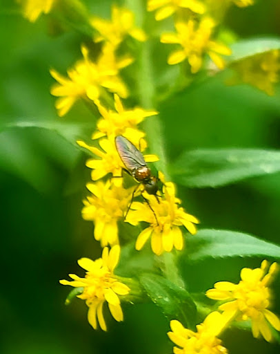 Memorial Park «Boothe Memorial Park», reviews and photos, 5800 Main St, Stratford, CT 06614, USA