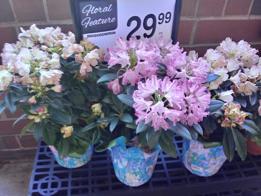 Shopping Mall «Bond Shopping Center», reviews and photos, 1891 S State Rd, Upper Darby, PA 19082, USA