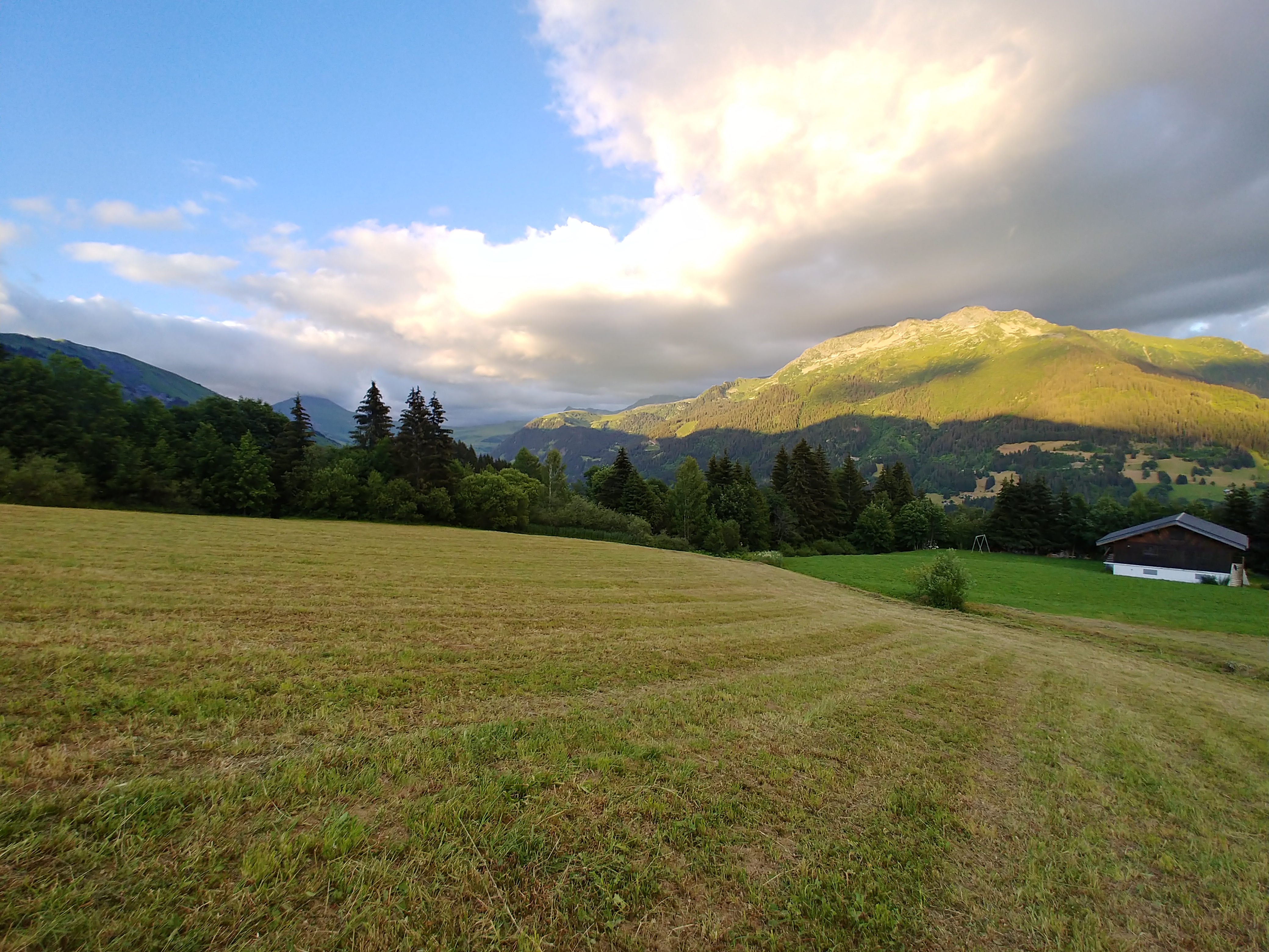 Photo n° 1 de l'avis de VIKTOR.A fait le 06/07/2020 à 19:08