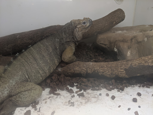 Tropical Fish Store «Harris In Wonderland», reviews and photos, 12 W Main St, Avon, CT 06001, USA