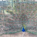 Photo n°1 de l'avis de ale.a fait le 31/03/2021 à 19:21 sur le  Azienda Agricola Fratelli Riboldi à Tregasio