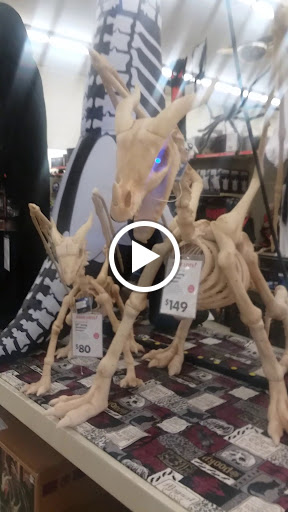 Discount Store «Big Lots», reviews and photos, 2412 S Volusia Ave, Orange City, FL 32763, USA