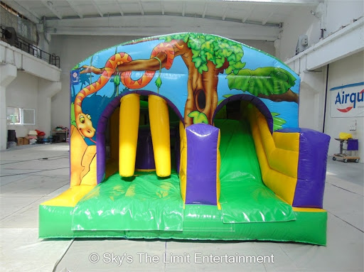 Sky's The Limit Bouncy Castle and Inflatable Hire