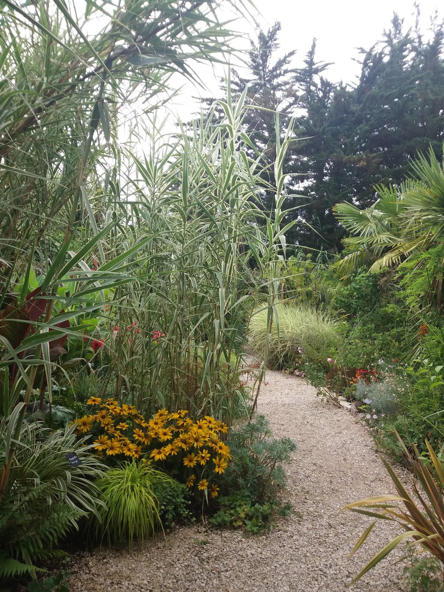 Photo n° 2 de l'avis de Andrea.i fait le 07/08/2019 à 11:03