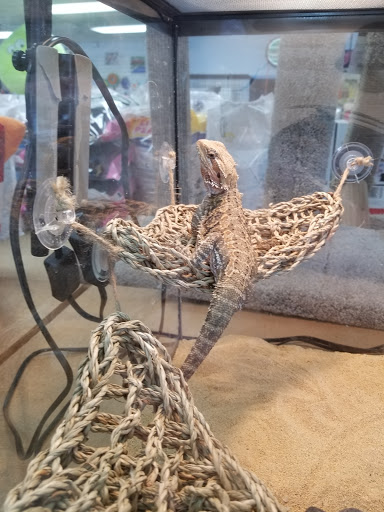 Pet Supply Store «Pet Barn», reviews and photos, 12675A NW Cornell Rd, Portland, OR 97229, USA