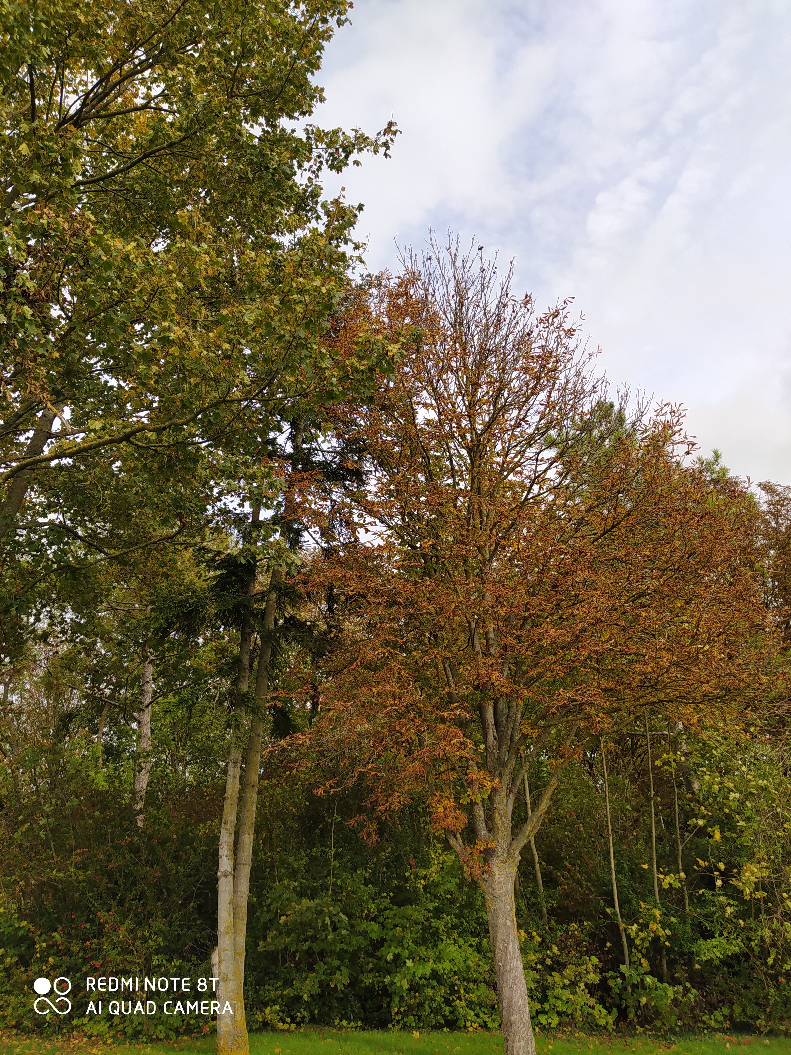Photo n° 8 de l'avis de Aurélie.a fait le 31/10/2020 à 15:54