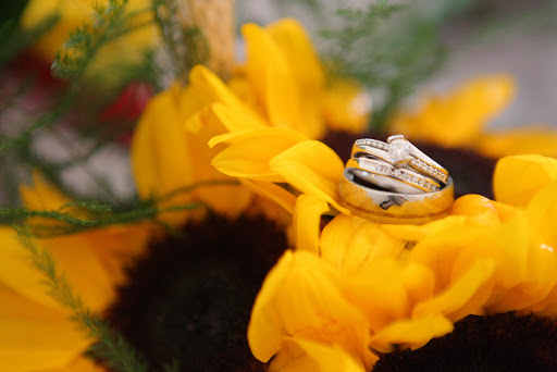 Florist «KM Designs - Flowers for All Occasions», reviews and photos, 15 James P. Kelly Way F, Middletown, NY 10940, USA