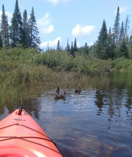 Golf Club «Thendara Golf Club», reviews and photos, 151 Fifth Street, Thendara, NY 13472, USA