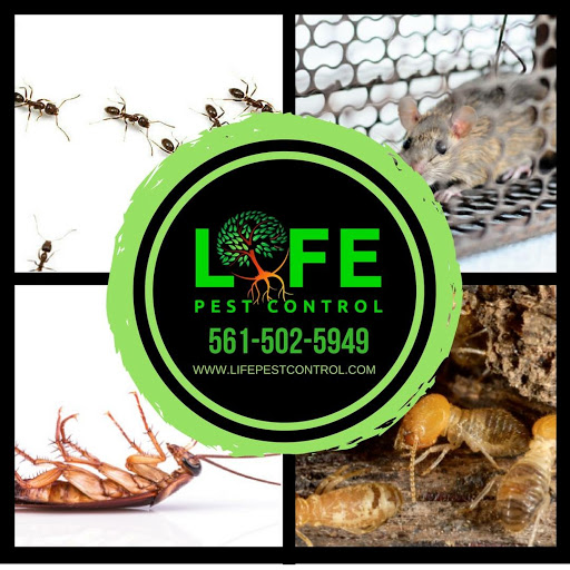 Pest Control Service «Life Pest Control», reviews and photos