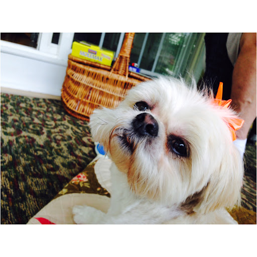 Car Dealer «Bill DeLuca Chevrolet Buick GMC», reviews and photos, 112-116 Bank Rd, Haverhill, MA 01832, USA