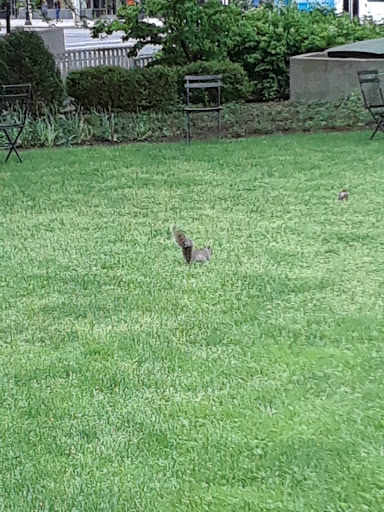 Park «Military Park», reviews and photos, 51 Park Pl, Newark, NJ 07102, USA