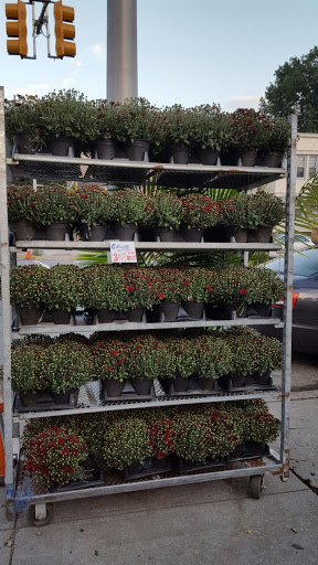 Produce Market «Hudson Farmers Market», reviews and photos, 3437 John F. Kennedy Blvd, Jersey City, NJ 07307, USA