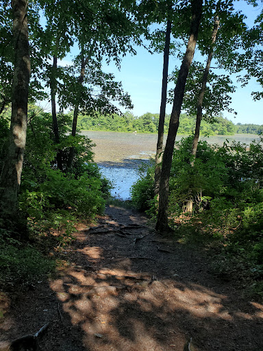 State Park «Borderland State Park», reviews and photos, 259 Massapoag Ave, North Easton, MA 02356, USA