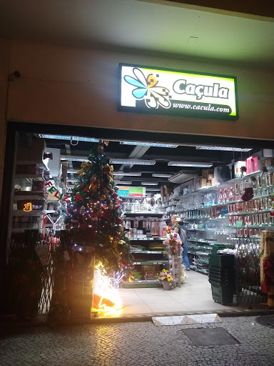 Feather cardboard stores Rio De Janeiro