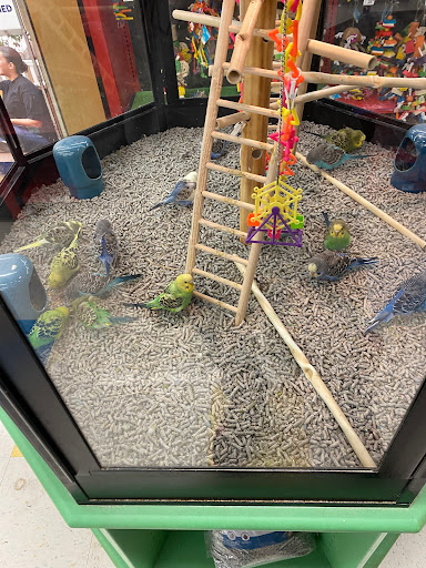 Pet Supply Store «Petco Animal Supplies», reviews and photos, 848 N Colony Rd c, Wallingford, CT 06492, USA