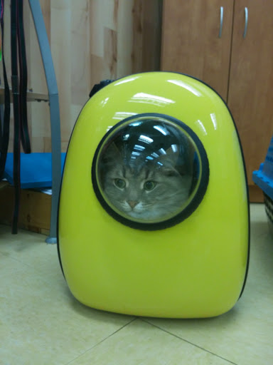 Pet Supply Store «Pet Supplies Plus», reviews and photos, 4751 Hiawatha Ave, Minneapolis, MN 55406, USA