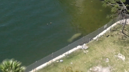 Park «Jose Marti Park», reviews and photos, 351 SW 4th Ave, Miami, FL 33144, USA