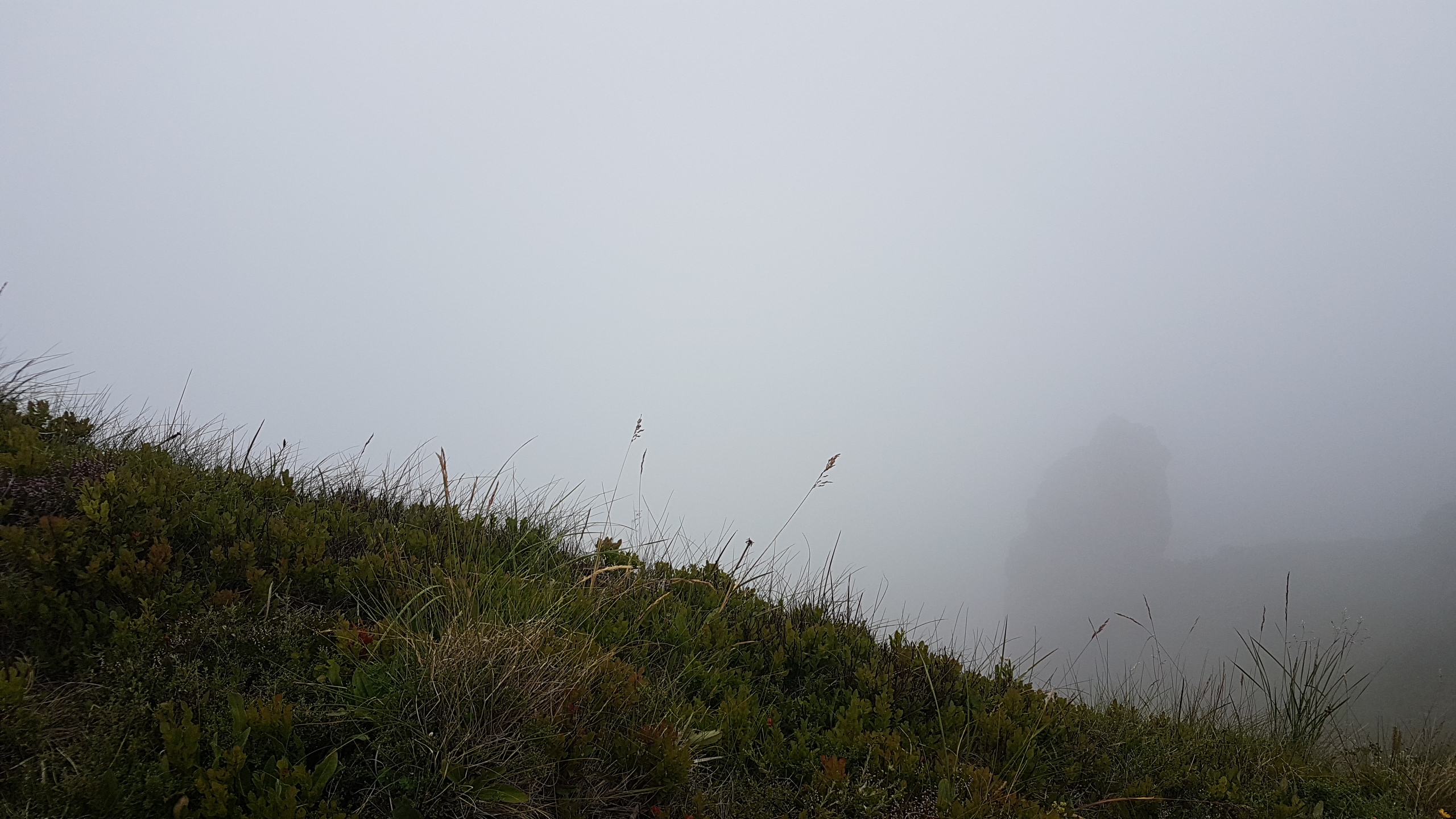 Photo n° 6 de l'avis de Catherine.R fait le 09/08/2019 à 17:54