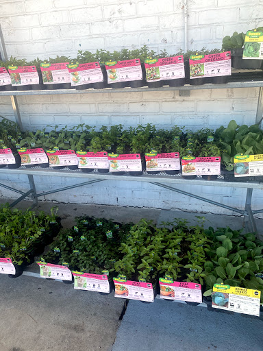 Hardware Store «Cypress Ace Hardware», reviews and photos, 11655 Jones Rd, Houston, TX 77070, USA