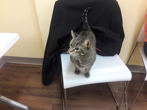 Pet Supply Store «PetPeople», reviews and photos, 3330 Washtenaw Ave, Ann Arbor, MI 48104, USA