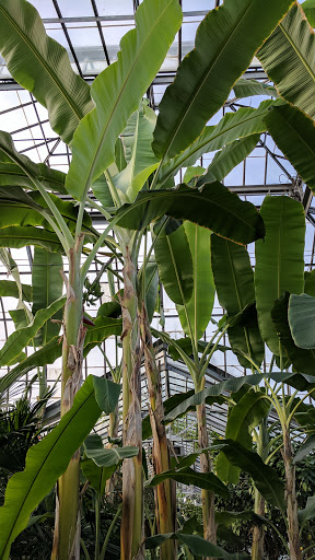 Museum «Dossin Great Lakes Museum», reviews and photos, 100 The Strand, Detroit, MI 48207, USA