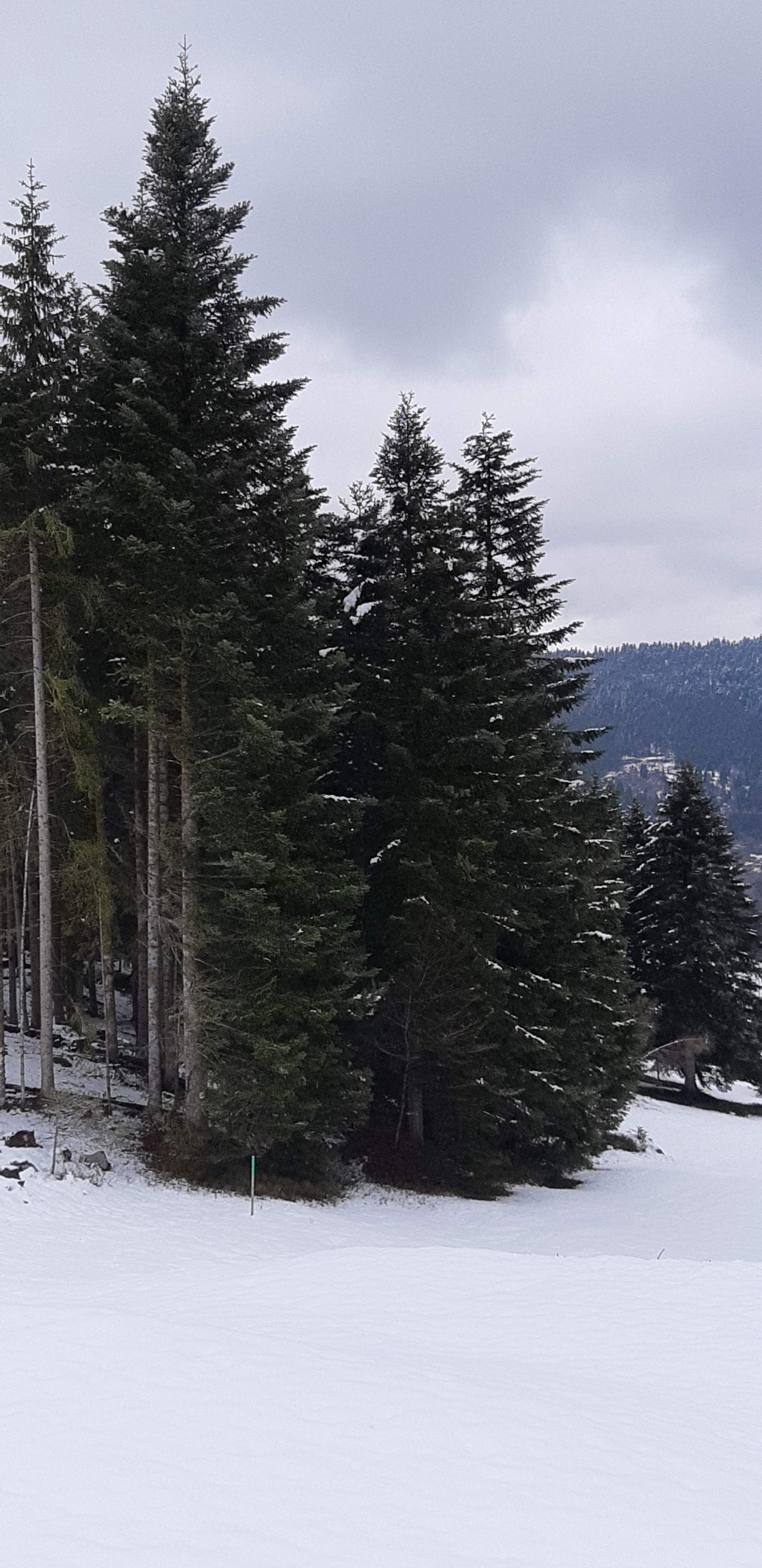 Photo n° 1 de l'avis de betty.o fait le 14/04/2019 à 10:33